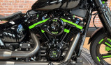 HARLEY-DAVIDSON SOFTAIL STANDARD 1745 ECOLOGY