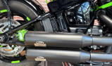 HARLEY-DAVIDSON SOFTAIL STANDARD 1745 ECOLOGY