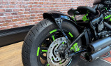 HARLEY-DAVIDSON SOFTAIL STANDARD 1745 ECOLOGY