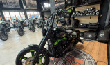 HARLEY-DAVIDSON SOFTAIL STANDARD 1745 ECOLOGY