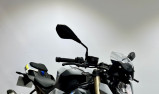 BMW S1000R