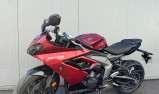 TRIUMPH DAYTONA 660 BRIDEE A2