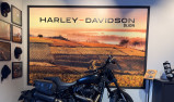 HARLEY-DAVIDSON SOFTAIL FAT BOB 1868