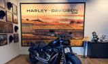 HARLEY-DAVIDSON SOFTAIL FAT BOB 1868