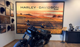 HARLEY-DAVIDSON SOFTAIL FAT BOB 1868