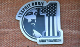 HARLEY-DAVIDSON SOFTAIL STREET BOB 117