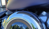 HARLEY-DAVIDSON SOFTAIL STREET BOB 117