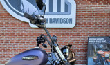 HARLEY-DAVIDSON SOFTAIL STREET BOB 117