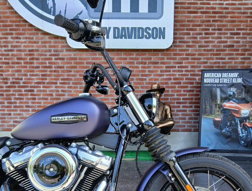 HARLEY-DAVIDSON SOFTAIL STREET BOB 117