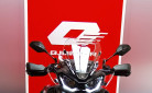 QJ MOTOR SRT 900 SX