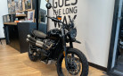 TRIUMPH SCRAMBLER 900 - BRIDEE A2 - 3900 KMS - OCTOBRE 2024 - 1 ERE MAIN
