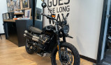 TRIUMPH SCRAMBLER 900 - BRIDEE A2 - 3900 KMS - OCTOBRE 2024 - 1 ERE MAIN