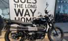 TRIUMPH SCRAMBLER 900 - BRIDEE A2 - 3900 KMS - OCTOBRE 2024 - 1 ERE MAIN