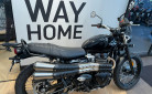 TRIUMPH SCRAMBLER 900 - BRIDEE A2 - 3900 KMS - OCTOBRE 2024 - 1 ERE MAIN