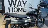 TRIUMPH SCRAMBLER 900 - BRIDEE A2 - 3900 KMS - OCTOBRE 2024 - 1 ERE MAIN