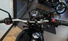 TRIUMPH SCRAMBLER 900 - BRIDEE A2 - 3900 KMS - OCTOBRE 2024 - 1 ERE MAIN
