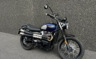 TRIUMPH STREET SCRAMBLER 900 EDITION GOLD LINE