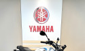 YAMAHA XSR 700 35KW