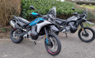 CF MOTO 800 MTX 8999 € TTC  MOTORS 54 MOTO NEUVE 0 KMS !!!