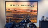 HARLEY-DAVIDSON SOFTAIL BREAKOUT 1923