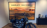 HARLEY-DAVIDSON SOFTAIL BREAKOUT 1923