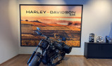 HARLEY-DAVIDSON SOFTAIL BREAKOUT 1923