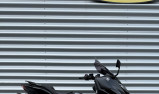 YAMAHA T-MAX 560 TECH MAX