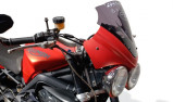 TRIUMPH STREET TRIPLE 675 R ACCIDENTE AVEC CARTE GRISE 