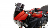 TRIUMPH STREET TRIPLE 675 R ACCIDENTE AVEC CARTE GRISE 