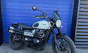 TRIUMPH STREET SCRAMBLER  900 NEW MODEL