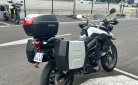 TRIUMPH TIGER 800 ABS