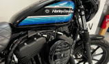HARLEY-DAVIDSON SPORTSTER 1200 NS
