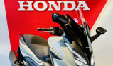 HONDA FORZA 125 2022 GRIS NARDO + SELLE CONFORT