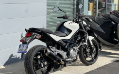 SUZUKI GLADIUS 650
