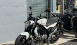 SUZUKI GLADIUS 650