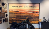 HARLEY-DAVIDSON SPORTSTER 1200 FORTY EIGHT SPECIAL