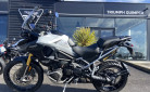 TRIUMPH TIGER 1200 RALLY PRO