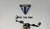 TRIUMPH SPEED 400 pour 95 €/mois chez Triumph Agen 