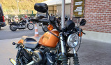 HARLEY-DAVIDSON SPORTSTER IRON 883 GARANTIE 12 MOIS