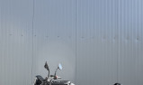 HUSQVARNA 401 VITPILEN
