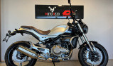 QJ MOTOR SRV 550 SCRAMBLER