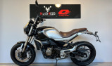 QJ MOTOR SRV 550 SCRAMBLER