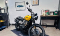 TRIUMPH SCRAMBLER 900