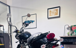 TRIUMPH SCRAMBLER 900