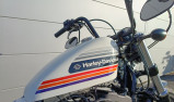 HARLEY-DAVIDSON SPORTSTER 1200 FORTY EIGHT SPECIAL