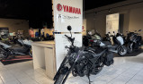 HONDA CL 500