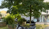 YAMAHA MT-07 35KW