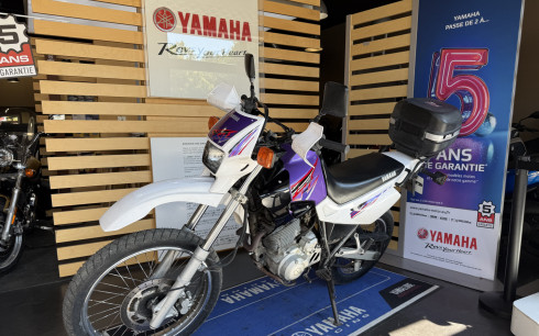 YAMAHA 600 XTE