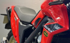 BETA ALP 4.0 350cc  MY25