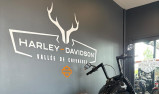 HARLEY-DAVIDSON SOFTAIL FAT BOY 1868